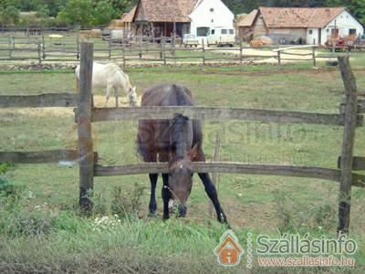 Hostel 61528 (Közép-Dunántúl > Veszprém megye > Révfülöp)