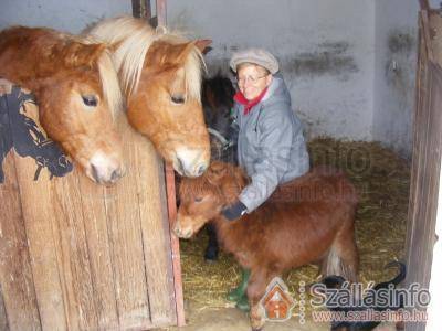 Bakonybél Vendégház (Közép-Dunántúl > Veszprém megye > Bakonybél)