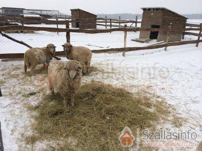 Bakonyi Tündér Farm (Közép-Dunántúl > Veszprém megye > Zirc-Tündérmajor)