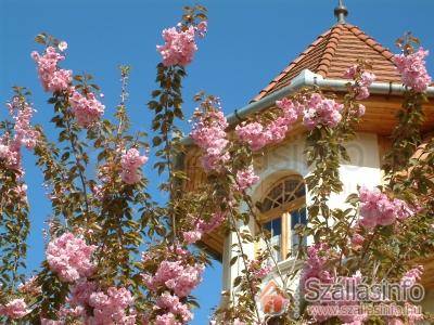 Hajdú Kastély Hotel (Észak-Alföld > Hajdú-Bihar megye > Hajdúszoboszló)