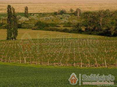 Huber Panzió és Étterem (Nyugat-Dunántúl > Győr-Moson-Sopron megye > Fertőrákos)