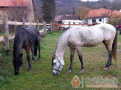 Lovas Vendégház (South Transdanubian > Baranya megye > Óbánya)