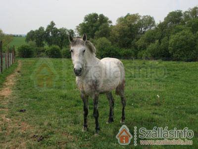 Malomdűlő Farmház (Budapest és környéke > Pest megye > Pilisborosjenő)