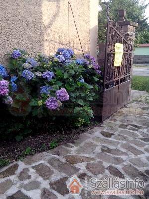 Polonkai Vendégház (North Hungary > Borsod-Abaúj-Zemplén megye > Bogács)