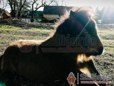 Póni Kuckó Vendégház és Minifarm (Nyugat-Dunántúl > Zala megye > Hosszúvölgy)