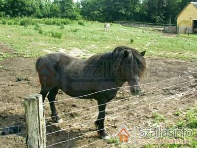 Sokoró Fogadó (Nyugat-Dunántúl > Győr-Moson-Sopron megye > Sokorópátka)