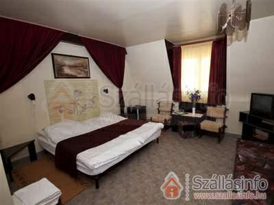 Apartman Hotel Sárvár (Nyugat-Dunántúl > Vas megye > Sárvár)