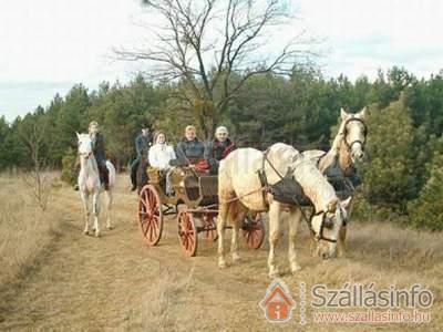 Hotel Villa Classica (Közép-Dunántúl > Veszprém megye > Pápa)