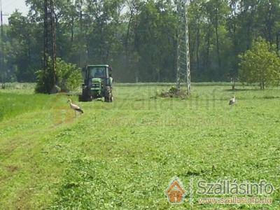 Zöld Béka Vendég- és Apartmanház (Észak-Alföld > Hajdú-Bihar megye > Hajdúszoboszló)